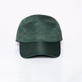Verde Musgo